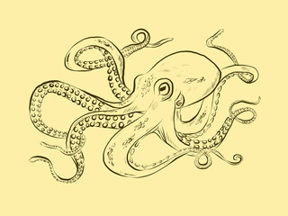 The octopus with their tentacles