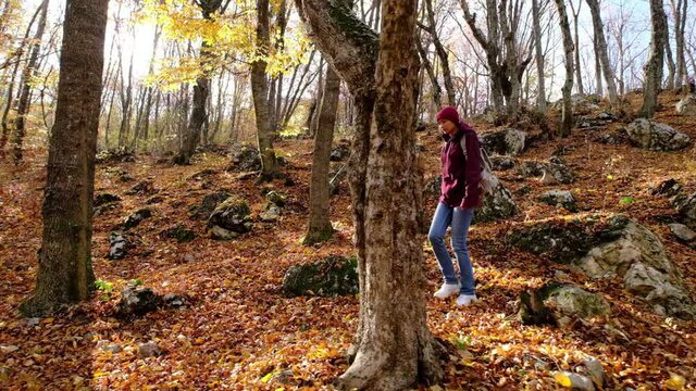 Walking Women in the Autumn Forest, Enjoying the Nature. Traveling woman with backpack hiking on path the forest