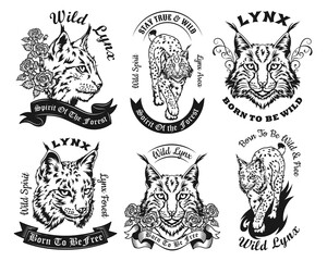 Ethnic vintage black and white lynx vector illustrations set. Isolated graphic sketches of wildcat in decorative retro style with lettering. Wildlife or animal concept for tattoo template, print © Bro Vector