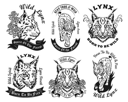 Ethnic vintage black and white lynx vector illustrations set. Isolated graphic sketches of wildcat in decorative retro style with lettering. Wildlife or animal concept for tattoo template, print