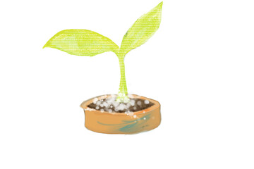 한글로 이루어진 새싹이미지, 긍정적인 말로 만들어졌다.
하단에는 '이렇게 키워요 '라고 적혀있다