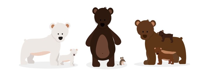 Set of six bears on a white background 