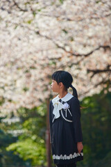 桜満開の公園で遊んでいる小学生の一年生の子供の様子