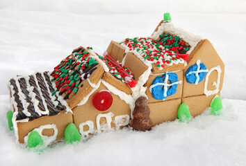 cute little Christmas gingerbread house village decorated with icing and candy sitting in snow