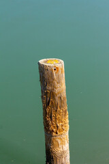 Wooden post over the river.