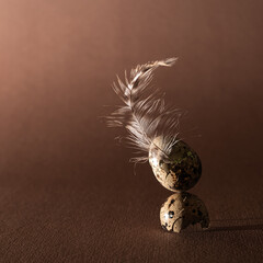 Obraz premium Easter quail egg shells stacked on top of each other with bird feather against brown earthy texture background. Minimal aesthetic balance concept. Creative holiday raw food lay out.