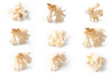 collection of stone mineral Zheoda khaltsedona