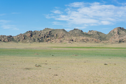 Plain In The Mongolian Desert