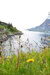 Ausblick auf die Berge und Fjord in der Inselgruppe Lofoten in Norwegen 