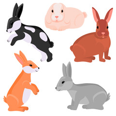 Rabbit. Vector illustration in modern flat style. Rabbit icon isolated on white background. For your design.