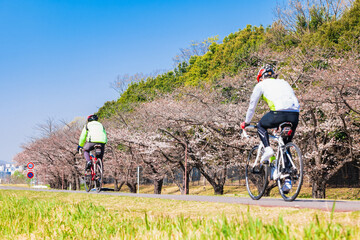 春の多摩川　サイクリングロード