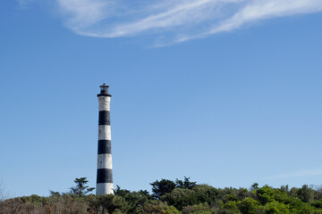 lighthouse on the forest