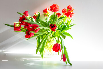 Beautiful spring tulips flowers