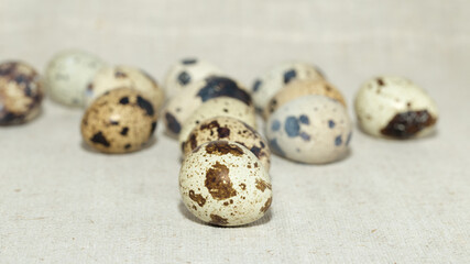 Fresh quail eggs for a healthy diet