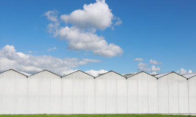 Fototapeta na wymiar greenhouses