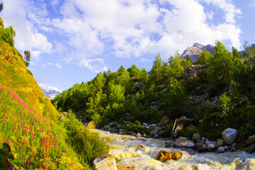 Fototapeta na wymiar The Adyl River in a high mountain gorge in the Elbrus region