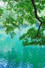 Blue lake Chirik-Kel and tree branches in the Cherek gorge