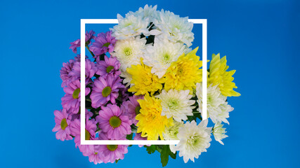 Creative layout of chrysanthemum flowers (lilac, yellow, white) in a white frame on a blue background. Flower background