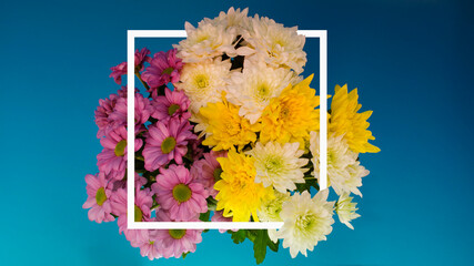 Creative layout of chrysanthemum flowers (lilac, yellow, white) in a white gradient frame on a blue background. Flower background