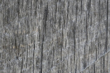 wood texture