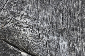 wood texture