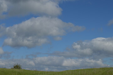 Fototapeta na wymiar summer landscape: blue sky with white clouds, green grass, bush