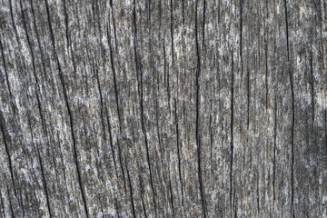 wood texture