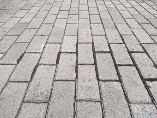 sidewalk in the park lined with tiles in the spring season