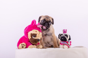 Mops Welpe beige mit Einhorn Stoffmops und Prinzessin Stoffmops