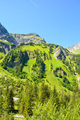 Obraz premium Schöner Berg mit grüner Bergwiese oder Weide mit Bäumen im Sommer bei Sonnenschein und blauem Himmel ohne Wolken im Tannheimer Tal beim Vilsalpsee, Bad Hindelang, Bayern, Deutschland