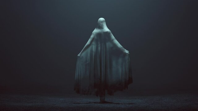 Standing Evil Spirit Ghost with one Knee Raised and Arms Out in a Death Shroud in a Foggy Void Back View 3d Illustration animation