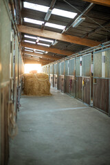 Die Sonne scheint in den Pferdestall