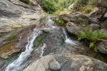 stream of water in the mountain