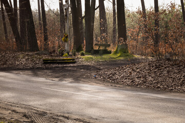 Naklejka premium path in the forest