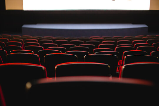 Cinema interior. Chairs in a large empty cinema hall against a white projection screen
