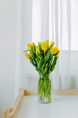 Bright fresh yellow tulips on white background. Bunch of yellow tulips in big glass jar in white interior. Spring flowers in glass vase on white table at home.