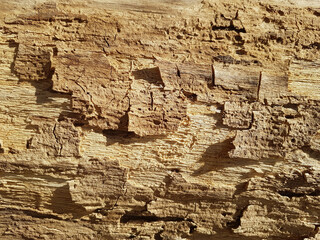 Old vintage rustic aged antique wooden panel texture