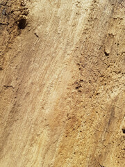 Old vintage rustic aged antique wooden panel texture