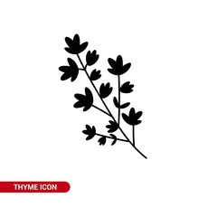 Vector image. Thyme icon. Medicinal herb.