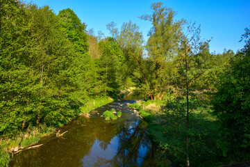 Fototapeta na wymiar Fluss Große Striegis im Striegistal Sachsen