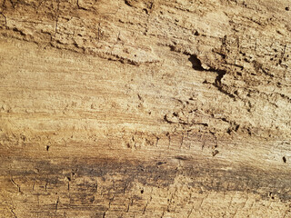 Old vintage rustic aged antique wooden panel texture