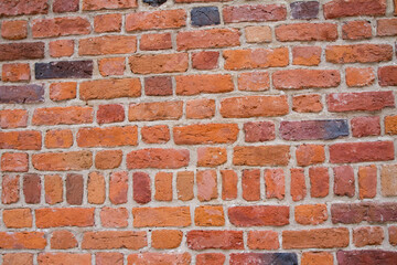 Brick wall in close up