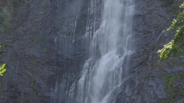 Cachoeira em um pared&atilde;o de rocha no meio da floresta em slow motion / Waterfall on a rock wall in the middle of the forest in slow motion