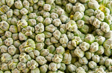 Fototapeta na wymiar Brokkoli in Nahaufnahme. Grüner Hintergrund aus grünem Gemüse in Makroaufnahme. Gesundes Essen mit vitaminreichem Gemüse.