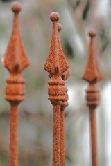 Rusted and weathered iron fence pole tips - 423250743