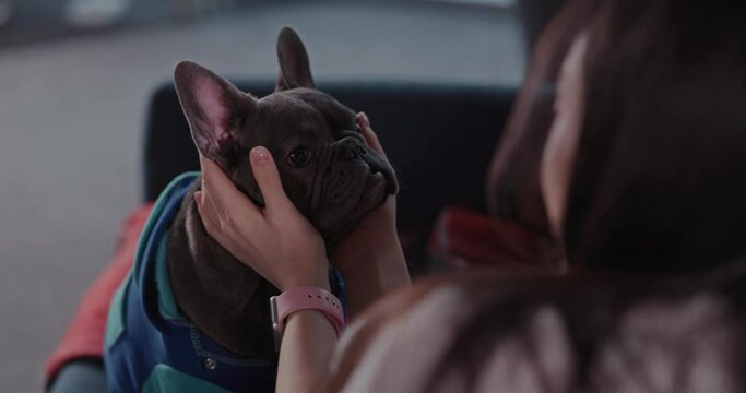Young happy female stroking and embracing her lovely dog pet in living room. Funny and adorable black french bulldog playing with owner in the house.