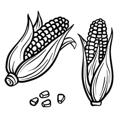 Corn isolated on white background. Corn cob. Vector hand drawn outline illustration. Ingredient for cooking. Harvest. Farm vegetable.