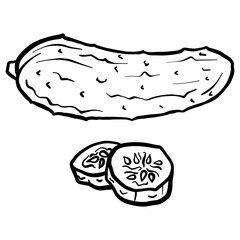 Cucumber  isolated on white background. Full cucumber and slice. Vector hand drawn outline illustration. Ingredient for cooking. Harvest. Farm vegetable.