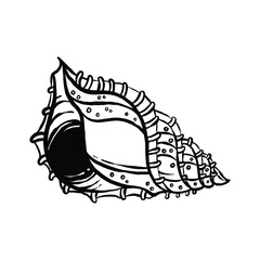 uncolored seashell illustration collection. animated nautical animal in vector graphic for creative design. aquatic object animation isolated on white background.