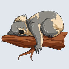 Cute sleeping koala in a tree branch illustrated with shadows and lights 